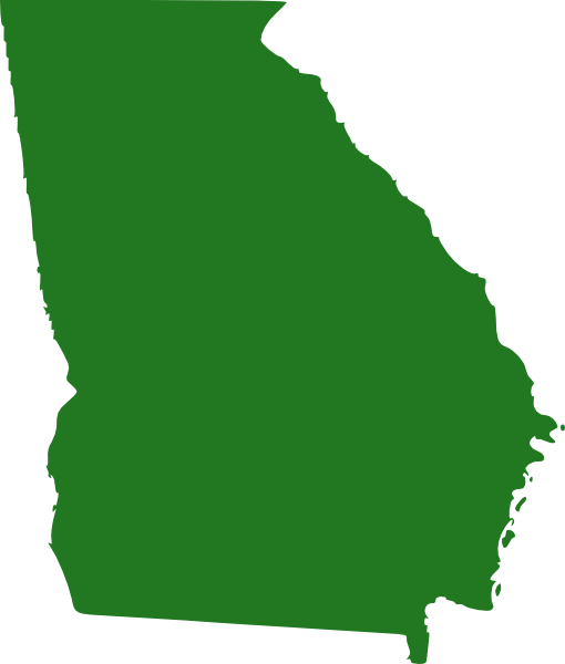 Georgia State